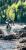 pho_ds_nmon_hra3510015__sall__awsg__v1