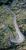 pho_ds_nmon_hra3510017__sall__awsg__v1